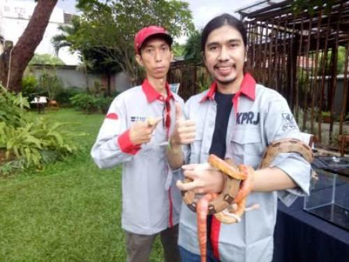small_58Komunitas-pencinta ular-kamipetz