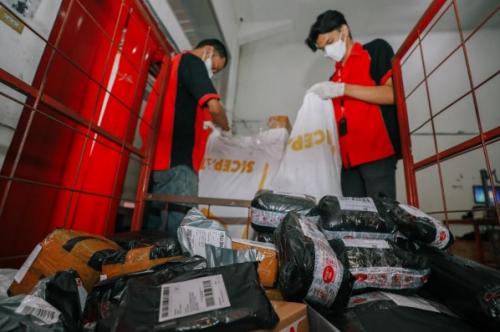 small_78IMG-20220518-WA0023