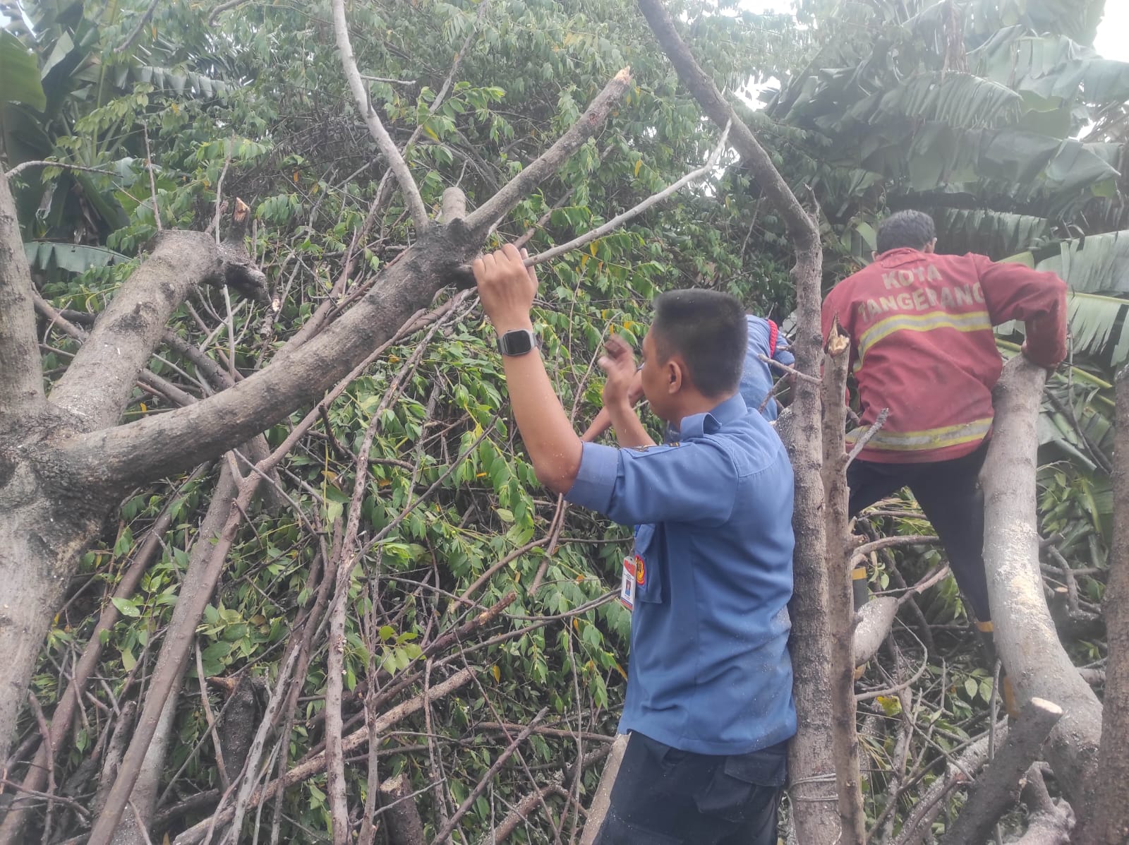 Respons penanganan dari BPBD Kota Tangerang terhadap aduan masyarakat